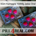 5Gm Kamagra 100Mg Oral Jelly 14